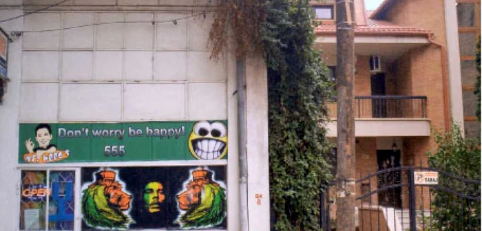 Vila lui Andone (în dreapta) se află lângă magazinul „Domnul iarbă“