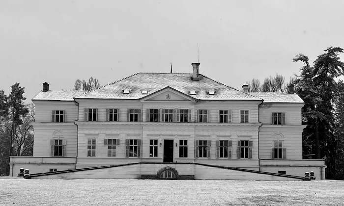 castelul savarsin 1 jpg