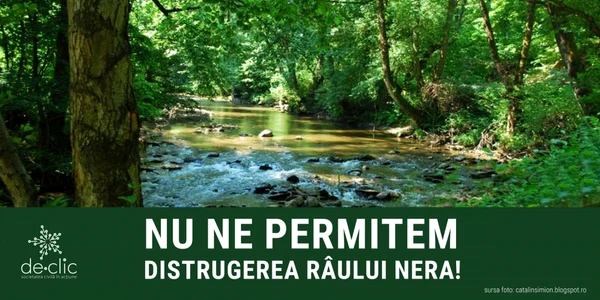 nera