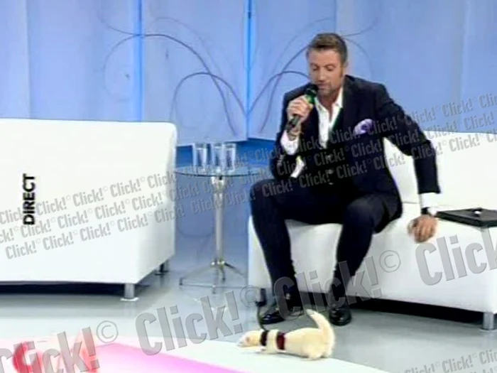 Premieră în emisiunea Mihaelei Rădulescu (Foto: captură video Realitatea TV)