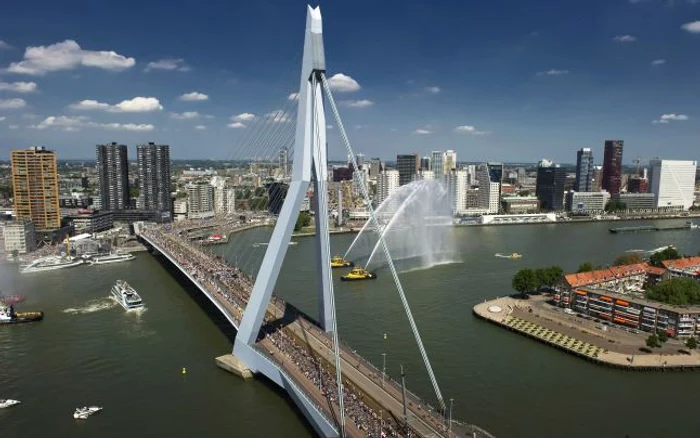 Erasmus Bridge