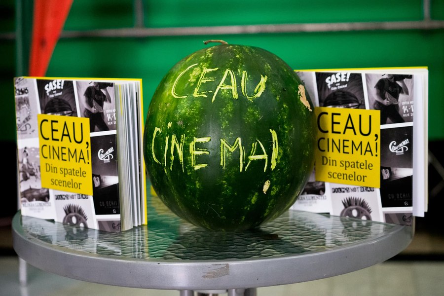 Festivalul de film „Ceau, Cinema!” de la Timișoara, la a zecea ediție