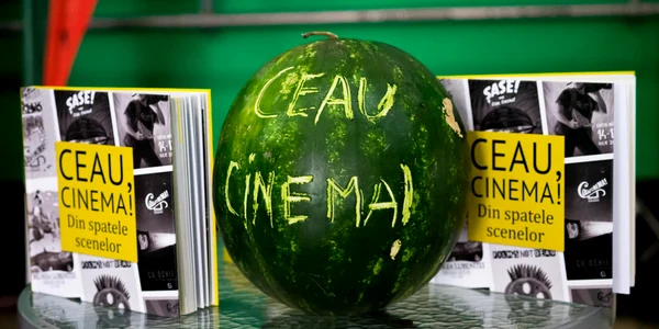 ceau cinema jpg