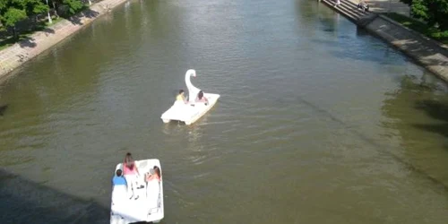 "Lebedele" vor dispărea de pe Bega