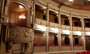 Tranziţia decadentă a teatrelor muzicale din România jpeg