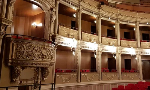 Tranziţia decadentă a teatrelor muzicale din România jpeg