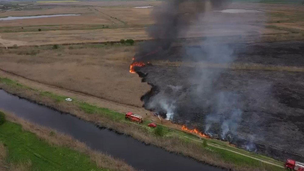Incendiu în Delta Dunării. Zeci de hectare de vegetație au ars în apropierea unei ferme stuficole VIDEO