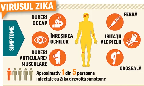 virusul zika  gif