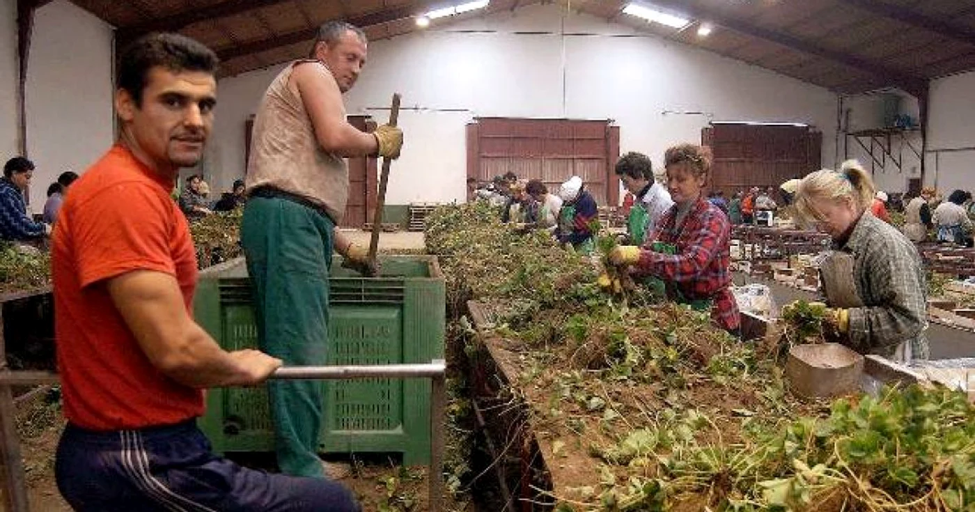 Tot mai mulţi muncitori români părăsesc Spania. FOTO. ABC