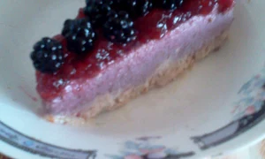 CLIIMA20120926 0035 1 jpeg