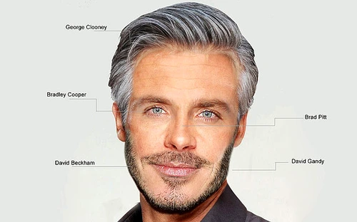 perfect male face 3047937b jpeg