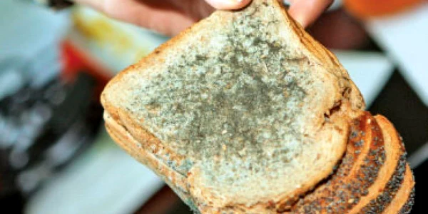 Alimente în termen,  mucegăite pe rafturi