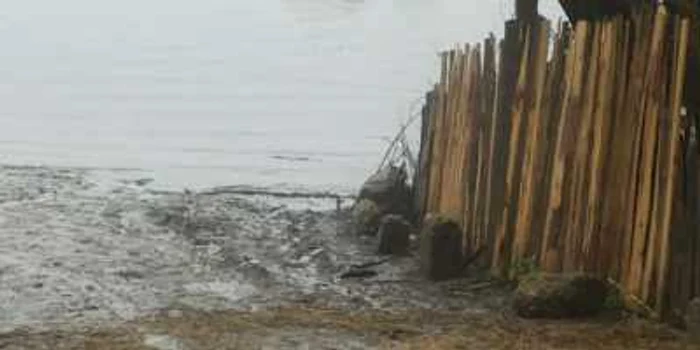 inundatii corabia