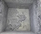 Zona cercetată, cu acumularea de rămășițe de gomfotere