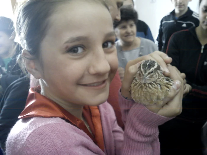 Elevii au sărbătorit