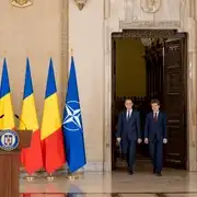 GIF Luca Niculescu
