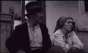 Istoria unui film cult jpeg