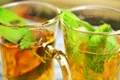 Salvia: planta medicinală, o comoară în casa ta! Beneficii şi proprietăţi jpeg