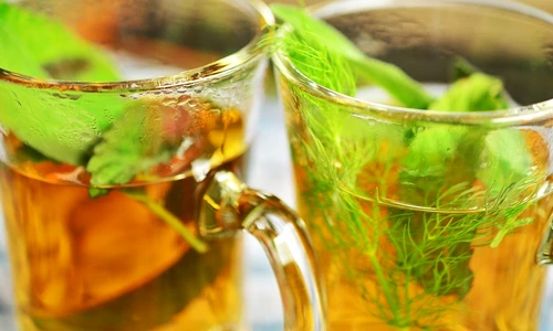 Salvia: planta medicinală, o comoară în casa ta! Beneficii şi proprietăţi jpeg