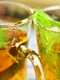 Salvia: planta medicinală, o comoară în casa ta! Beneficii şi proprietăţi jpeg