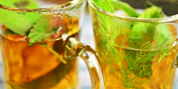 Salvia: planta medicinală, o comoară în casa ta! Beneficii şi proprietăţi jpeg