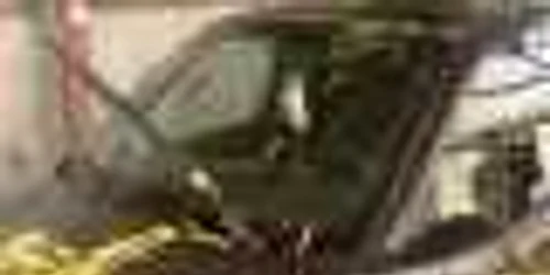 masini vandalizate gaesti