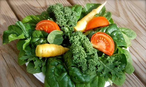salad 1179314 640 jpeg
