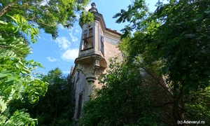 Castelul din Uioara  Foto Daniel Guță  ADEVĂRUL (1) jpg