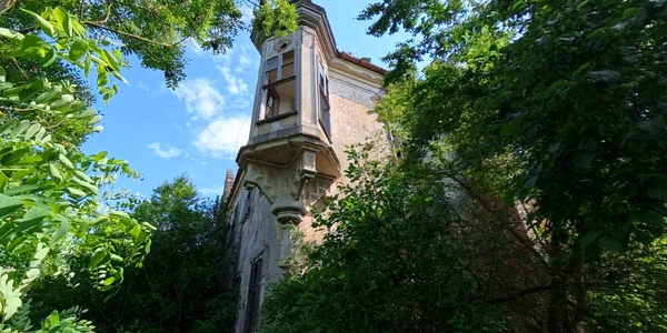 Castelul din Uioara  Foto Daniel Guță  ADEVĂRUL (1) jpg