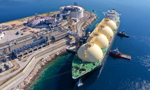 Terminal Gaze Foto   Shutterstock jfif