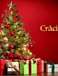 1 craciun jpg jpeg