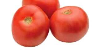 1 2 jpg jpeg