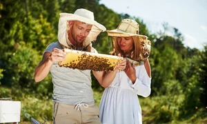 shutterstock 1757782676 1 0 jpeg