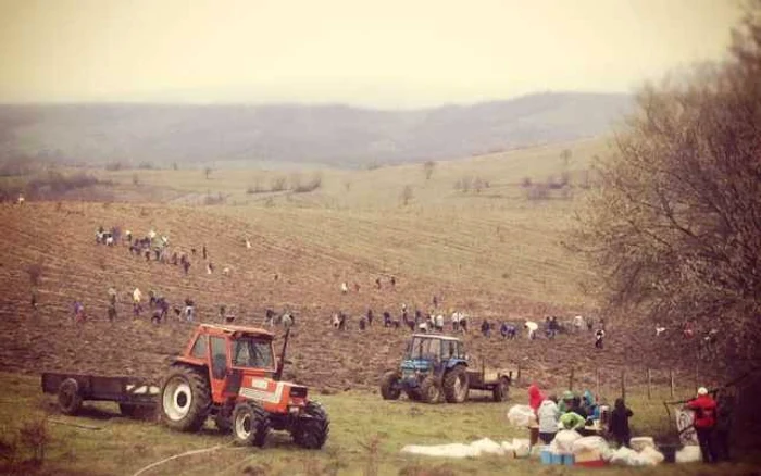 FOTO: Tăşuleasa Social