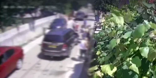 agresorii padurarului din Bacau FOTO captura video Protv webp