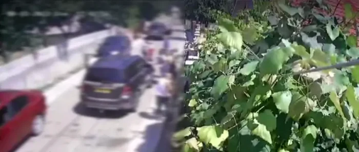 Momentul în care agresorii pădurarului năvălesc în locuința acestuia FOTO captură video Protv