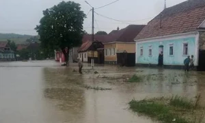 bistrita mesagerul ro  jpeg