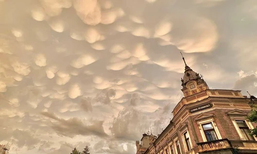 nori mammatus jpg
