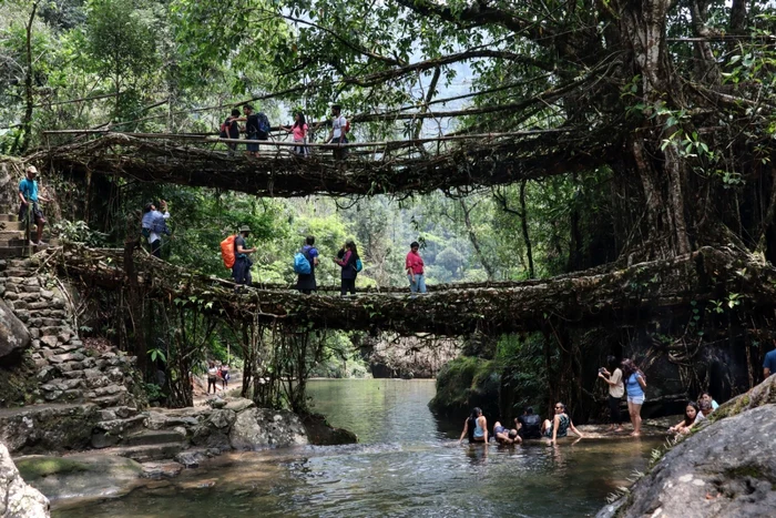 poduri vii india - Shutterstock