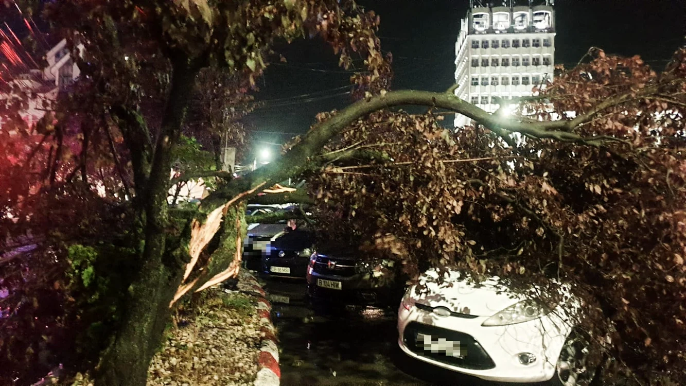 Zeci de arbori au fost doborâți de vântul puternic FOTO Arhivă ISU