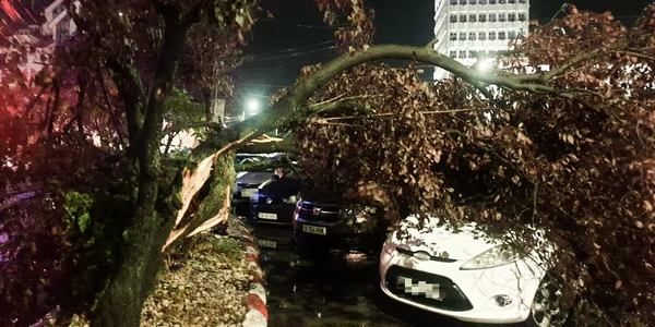 Zeci de arbori au fost rupți de vânt, la Târgoviște și mai multe străzi inundate  FOTO ISU Dâmbovița (9) jpg