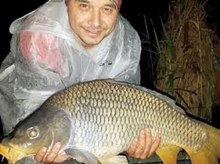 
    Ai primit un pește mare cadou?  Averea ta va spori în mod  spectaculosSursa foto: Click.ro  