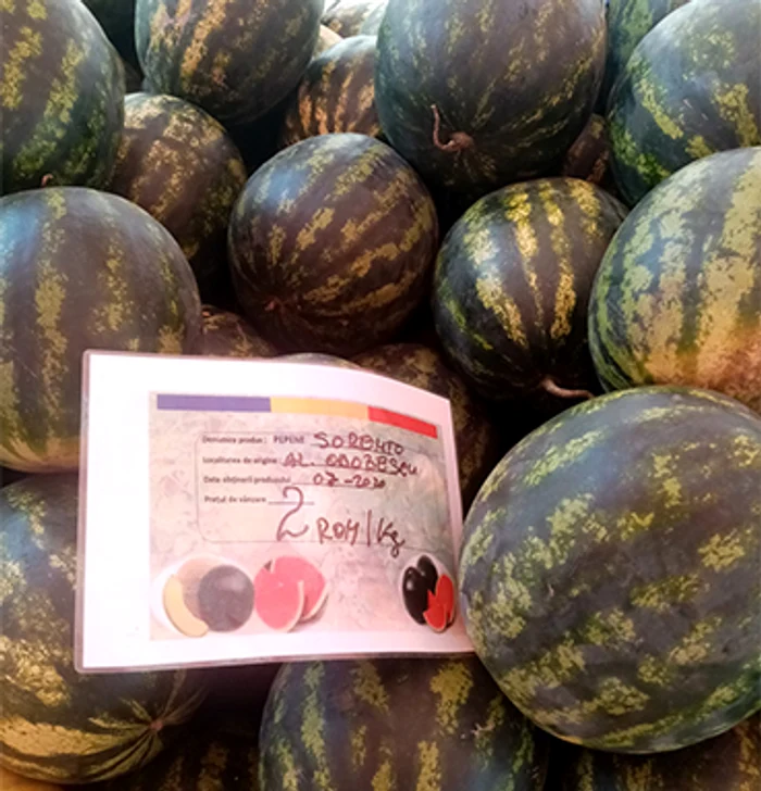 Soiul Sorento, printre cele mai căutate&nbsp; 