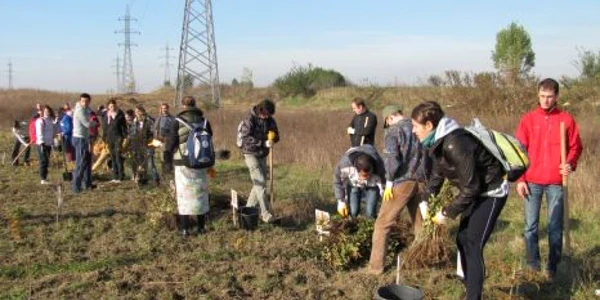 Tinerii vor planta aproximativ 5.000 de pomi