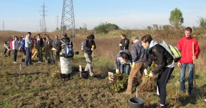 Tinerii vor planta aproximativ 5.000 de pomi