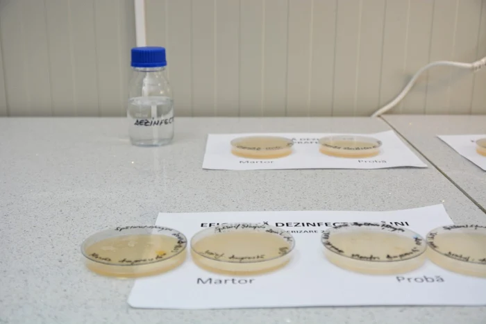 dezinfectant coronavirus COVID-19 Galaţi 4