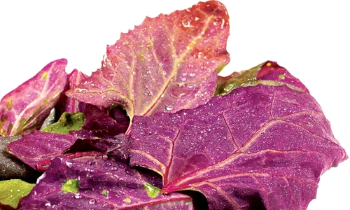 1 56407 original jpg jpeg