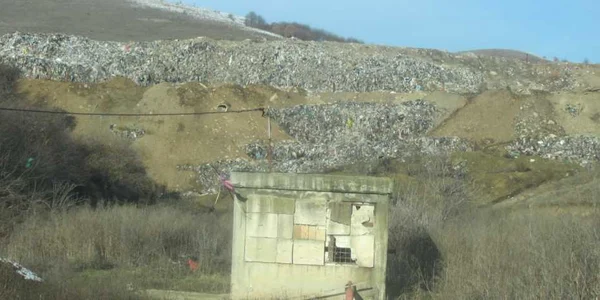 deseuri alba