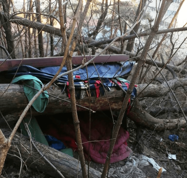 Stăpânul câinilor agresivi de pe muntele Pietricica a fost prins. Îşi făcuse un adăpost în pădure