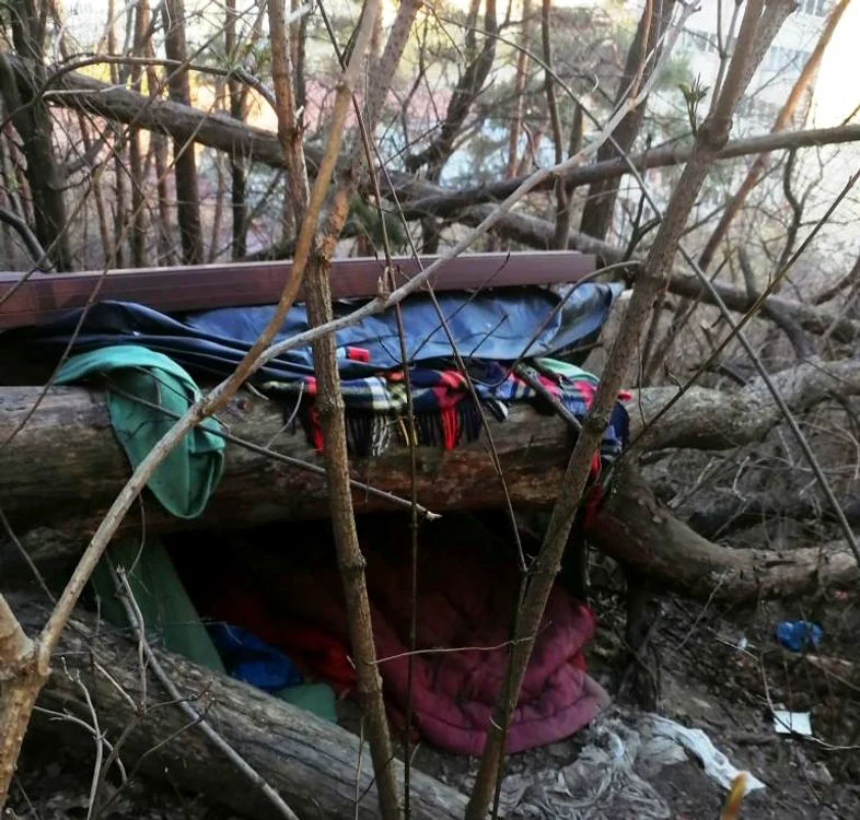 Adăpostul improvizat pe culmea Pietricica FOTO Poliția Locală